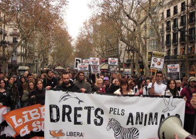 La institucionalización de la Ética Animal: análisis de la Iniciativa Legislativa Popular para abolir las corridas de toros en Cataluña