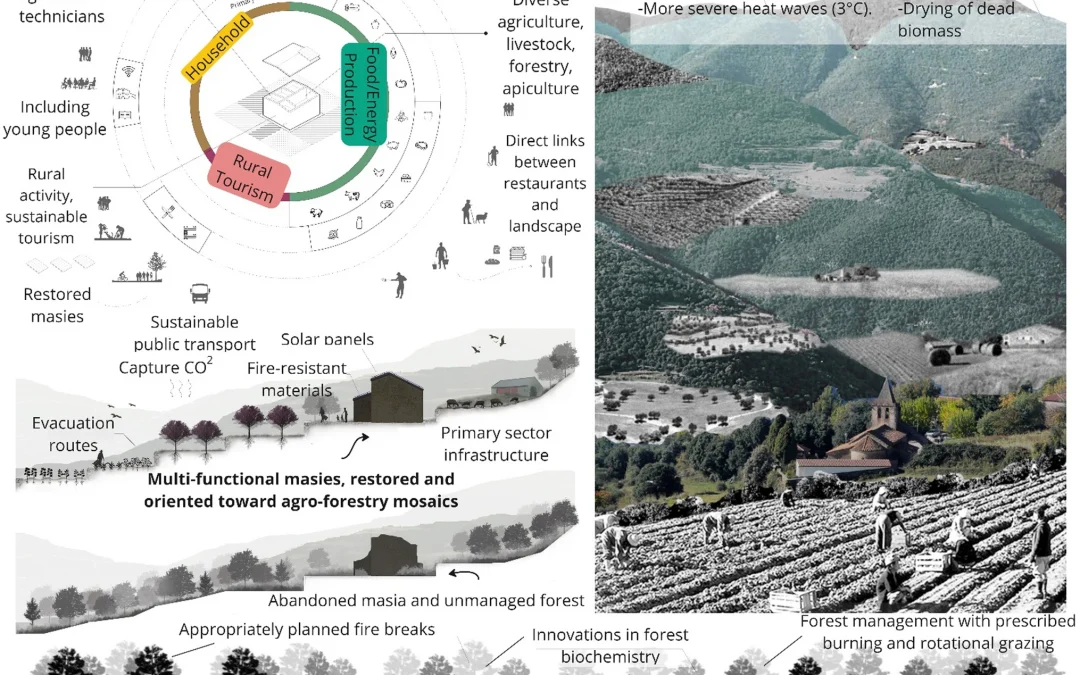 Uplifting local ecological knowledge as part of adaptation pathways to wildfire risk reduction: A case study in Montseny, Catalonia (Spain)