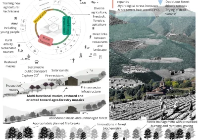 Uplifting local ecological knowledge as part of adaptation pathways to wildfire risk reduction: A case study in Montseny, Catalonia (Spain)