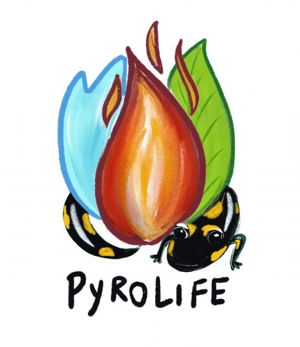 PyroLife – training a new generation of interdisciplinary experts in holistic fire management