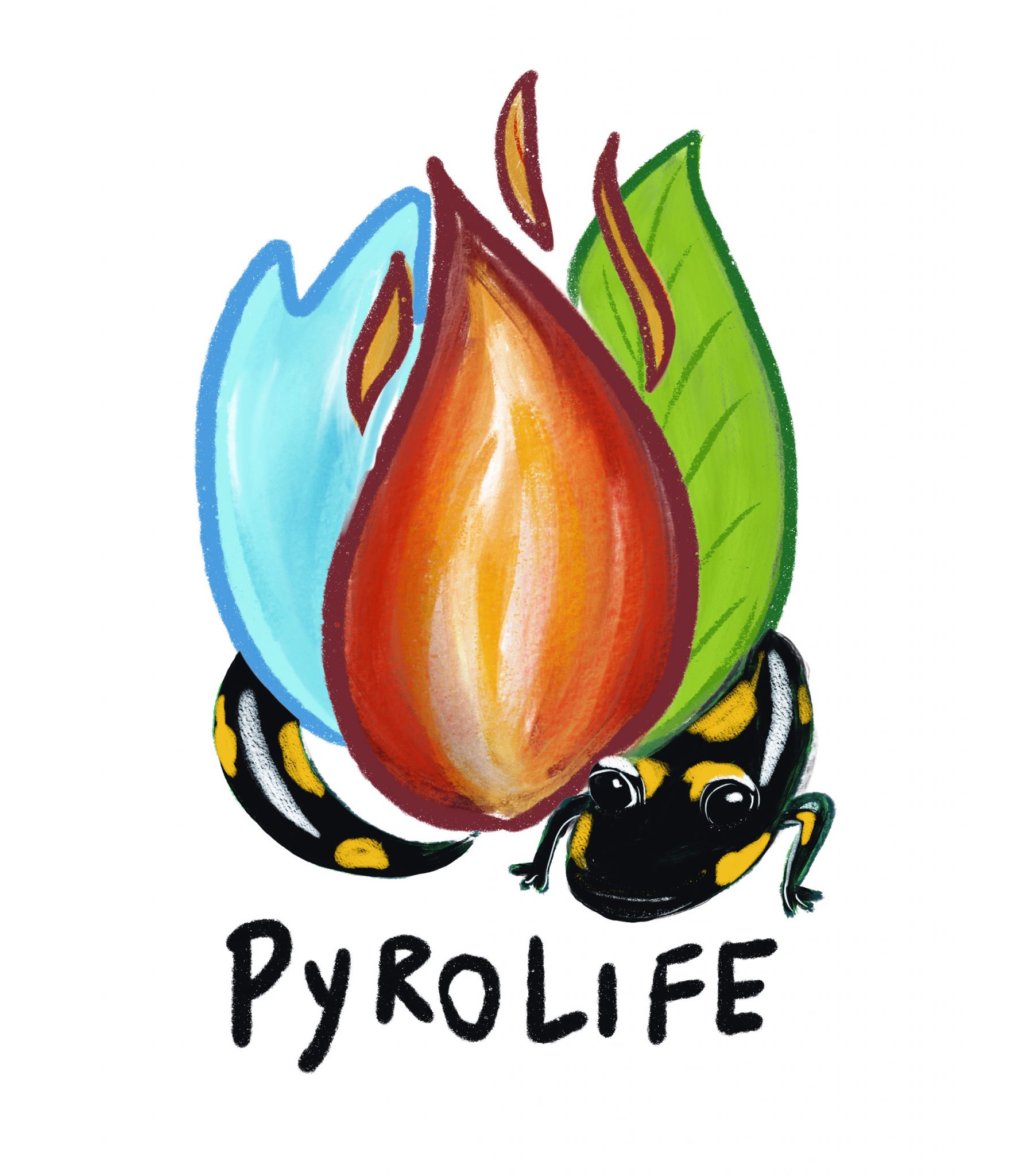 PyroLife – Formando una nueva generación de expertos/as en la gestión integrada de incendios forestales
