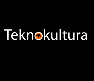 Autonomías precarias: un análisis sobre las tecnologías para personas con diversidad funcional intelectual