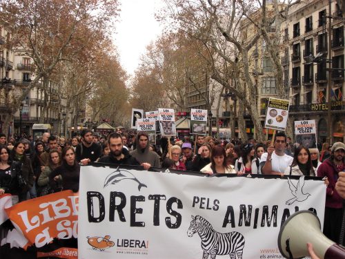 La institucionalización de la Ética Animal: análisis de la Iniciativa Legislativa Popular para abolir las corridas de toros en Cataluña